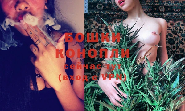 ECSTASY Богородицк